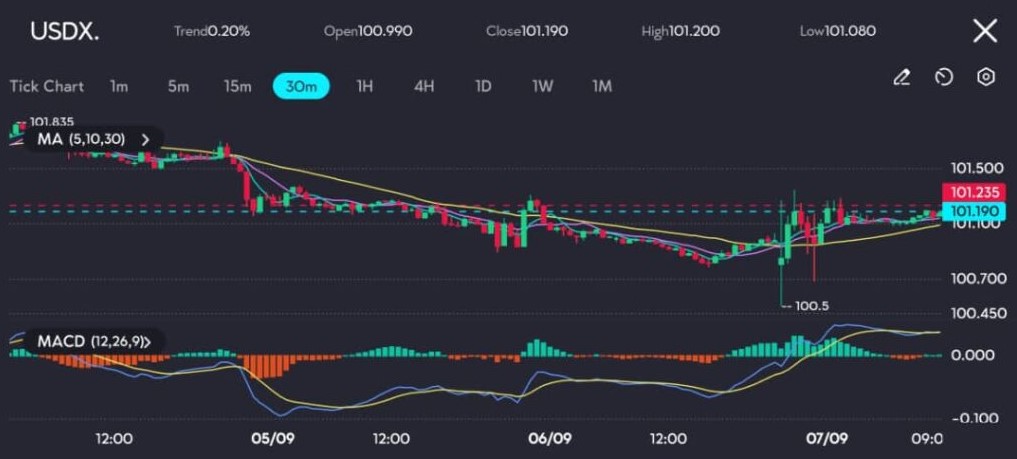 Lihat: Indeks dolar diperdagangkan dalam kisaran 101.190 hingga 101.235 di aplikasi VT Markets.